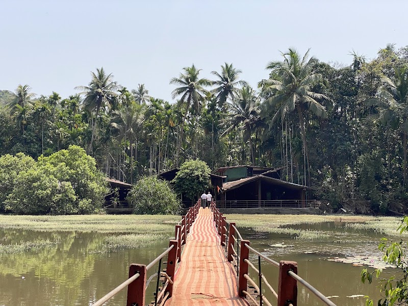 Tropical Spice Plantation