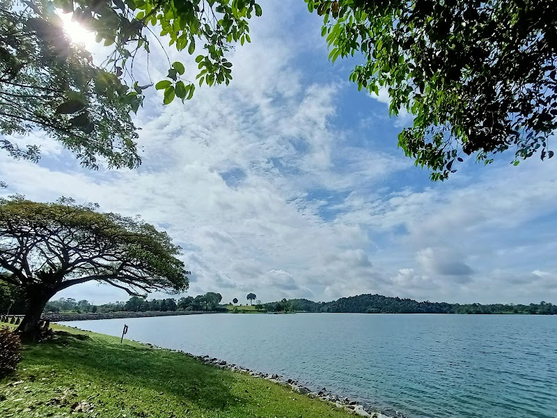 Upper Peirce Reservoir Park