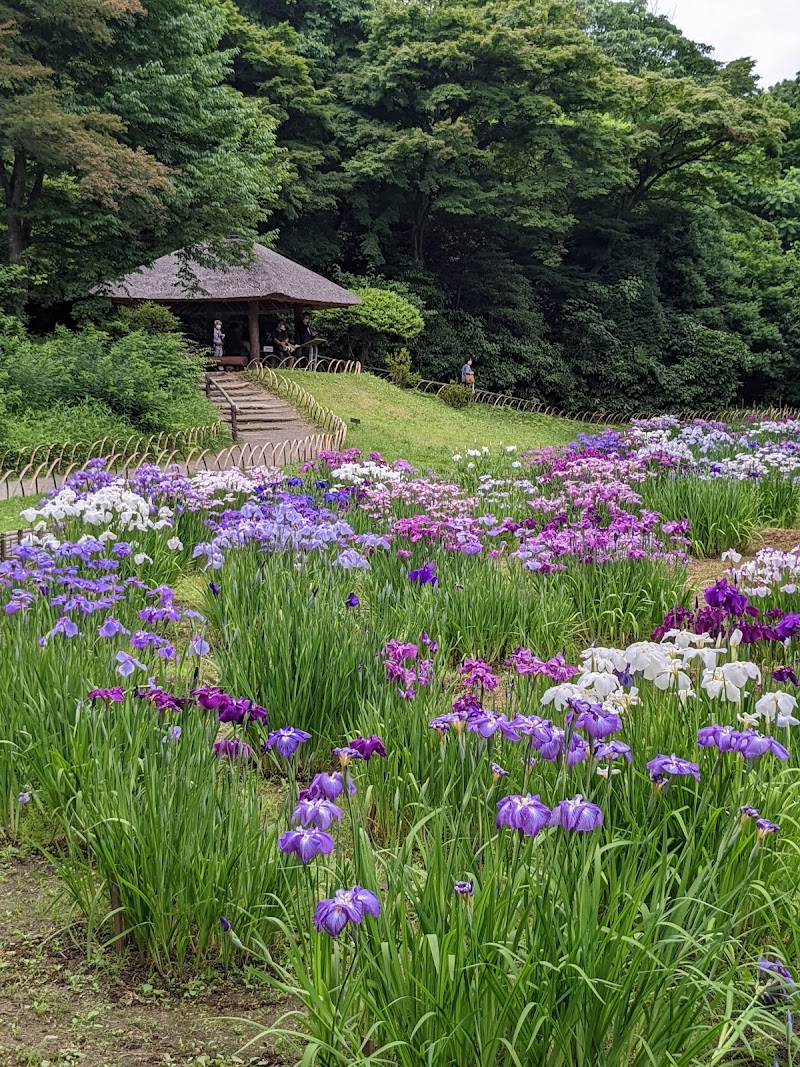 Meiji Jingu Gyoen