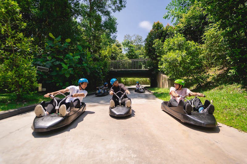 Skyline Luge Singapore