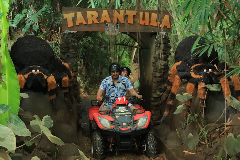 Bali Tarantula Adventure - ATV , RAFTING AND SWING