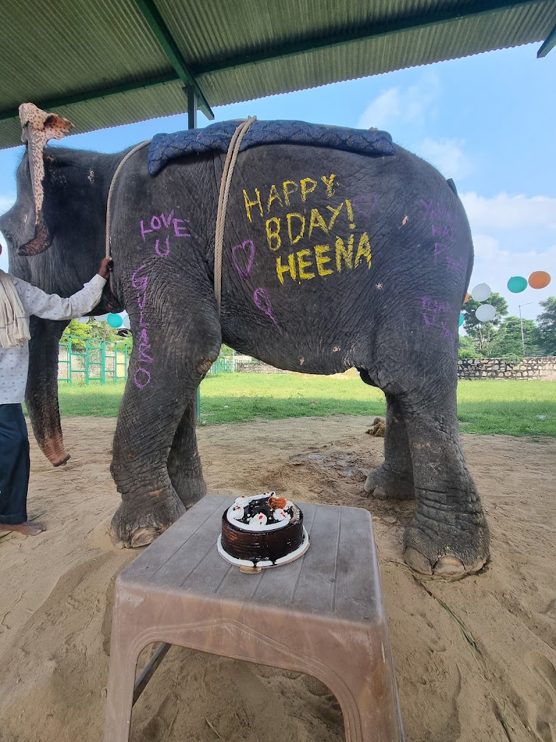 Jaipur Elephant Park