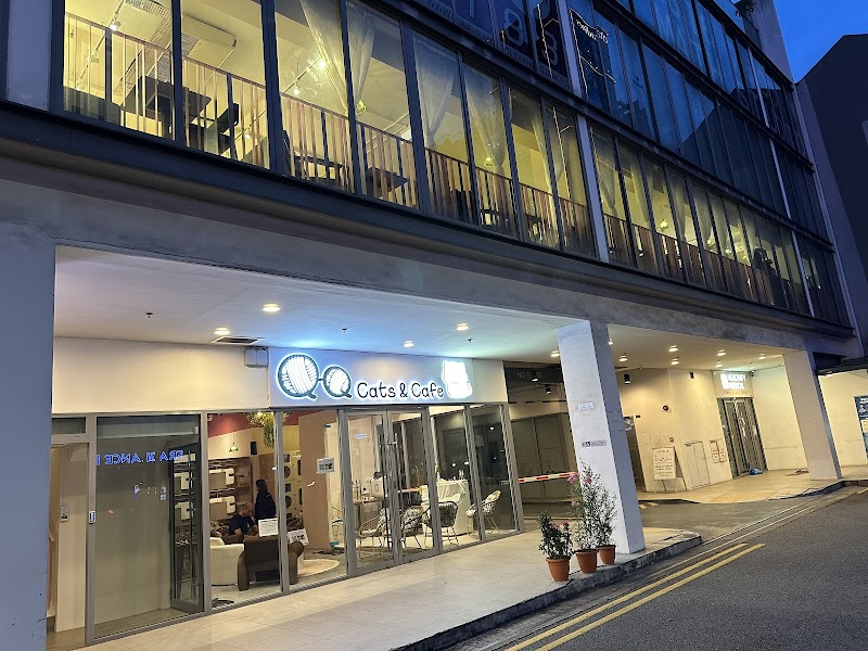 QQ Cats & Cafe