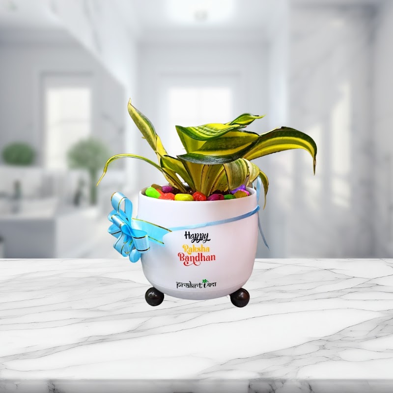 Prakrtiveda Ecosolutions