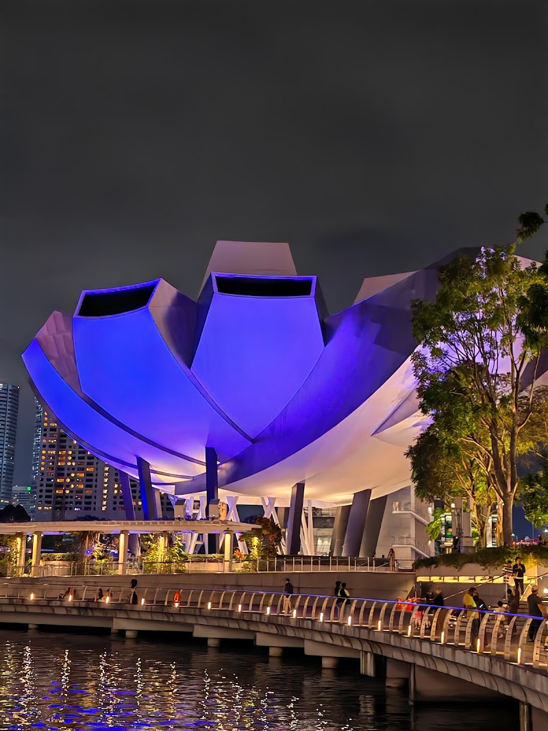 Spectra - A Light & Water Show