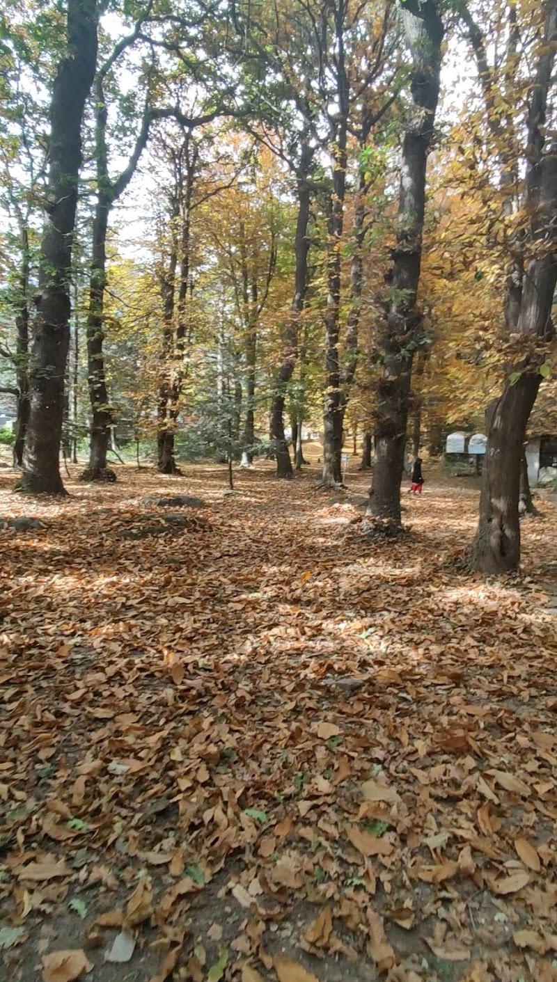 Mini Switzerland Manali