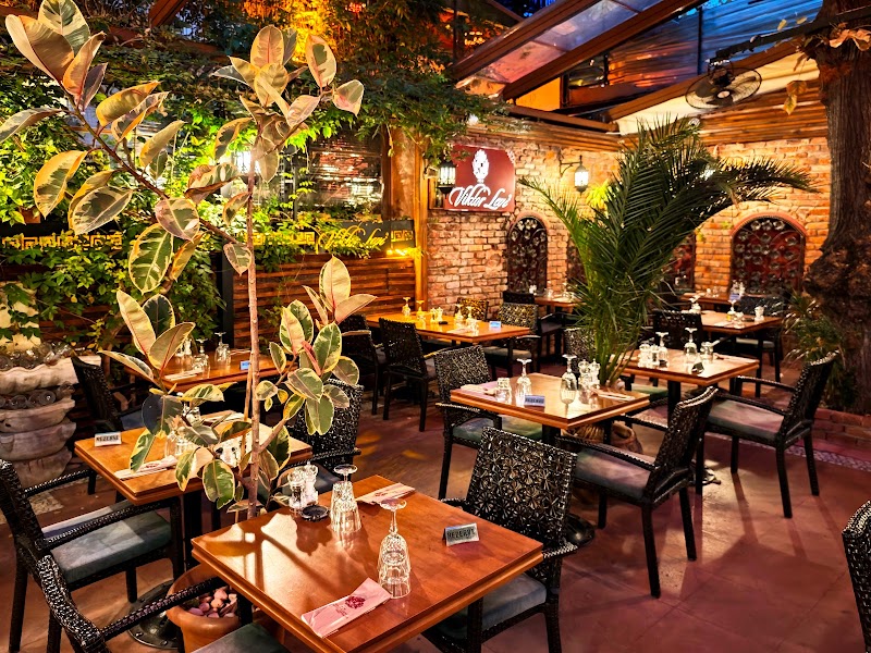 Viktor Levi Şarap Evi