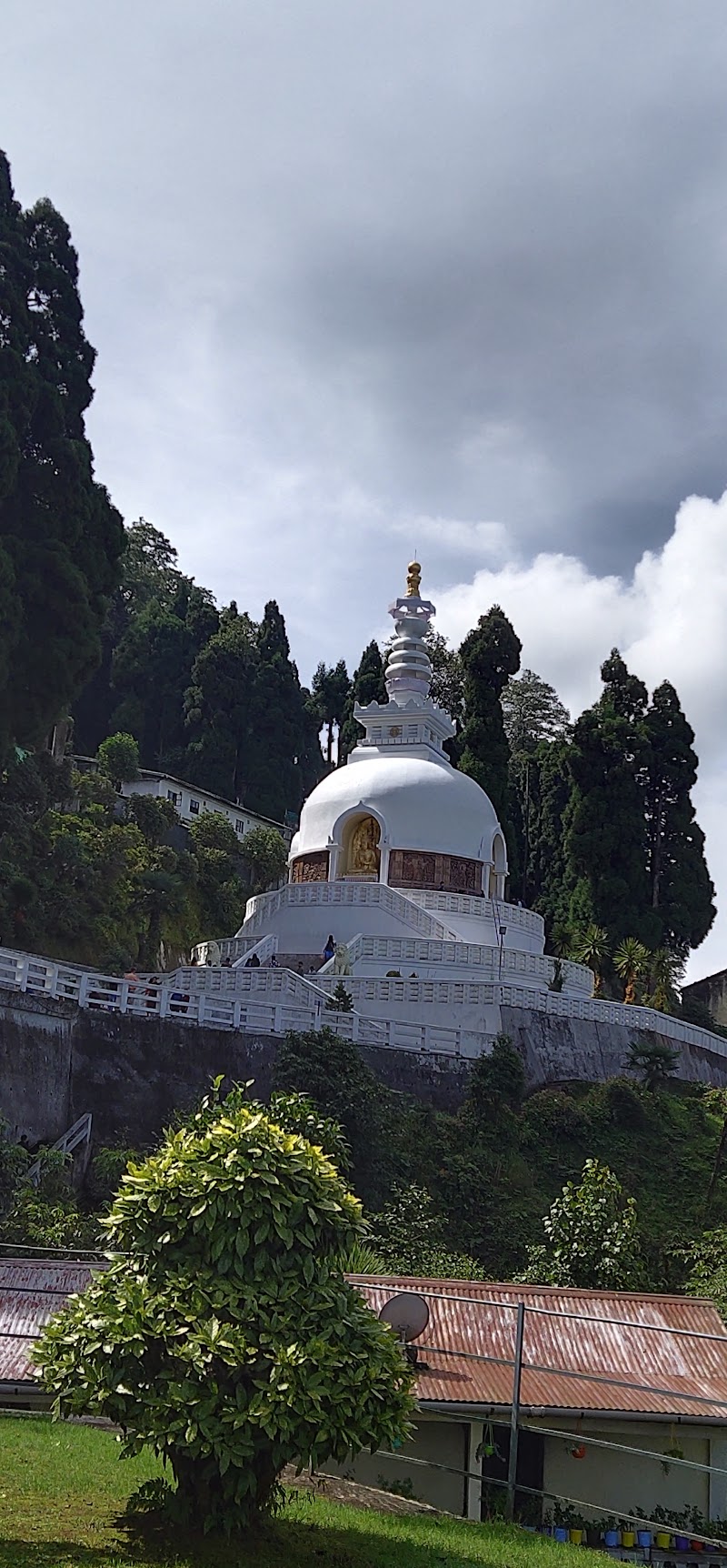 Museum(Sinchal Wildlife Sanctuary)