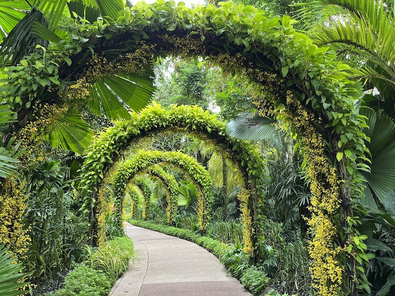 National Orchid Garden