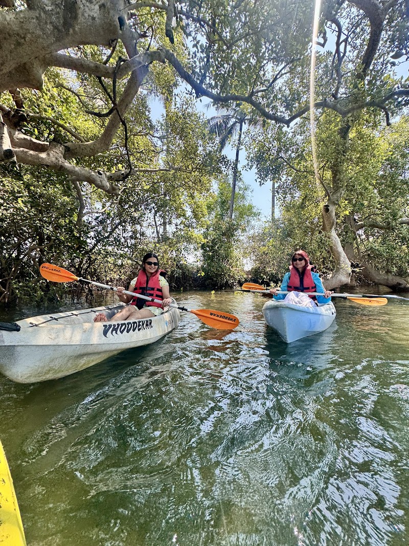 Baga kayaking - Vhoddekar