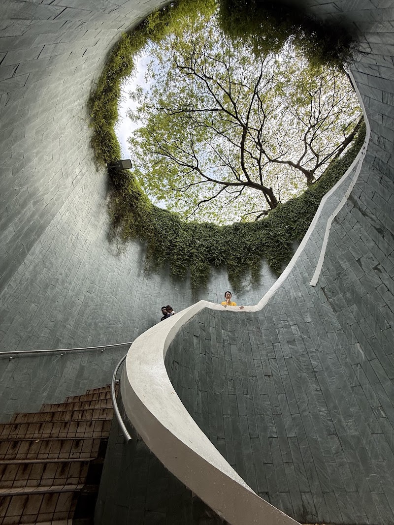 Fort Canning Tree Tunnel