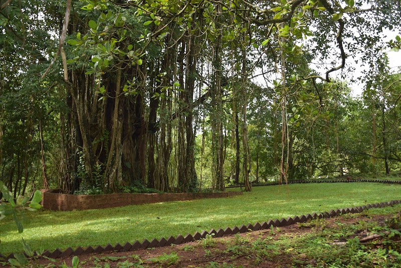 NV Eco Agro Tourism Pvt Ltd ( NV Eco farm )