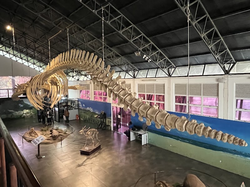 Natural History Museum