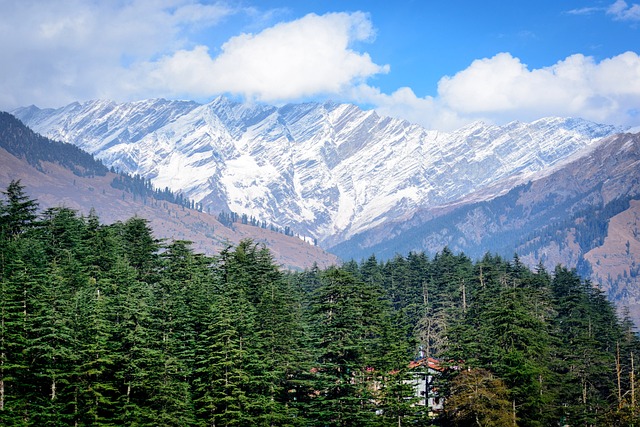 Manali wildlife sanctuary