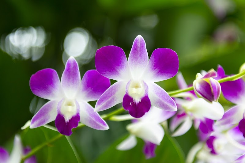 National Parks Board