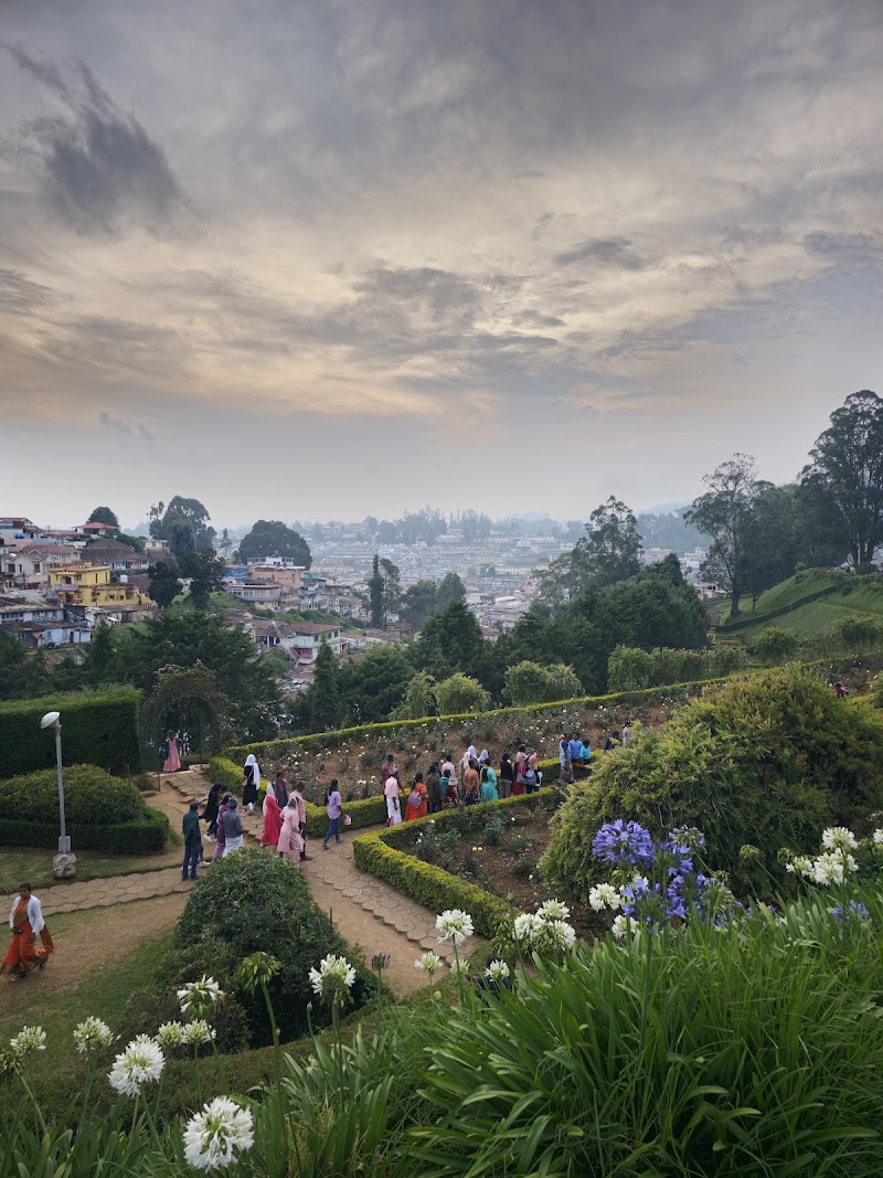 Gold Garden - Ooty