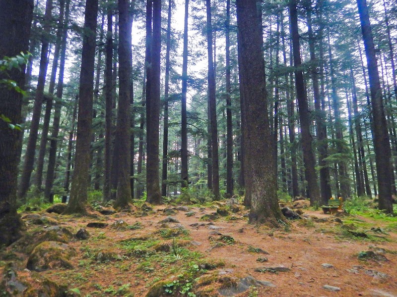 Manali Nature Park