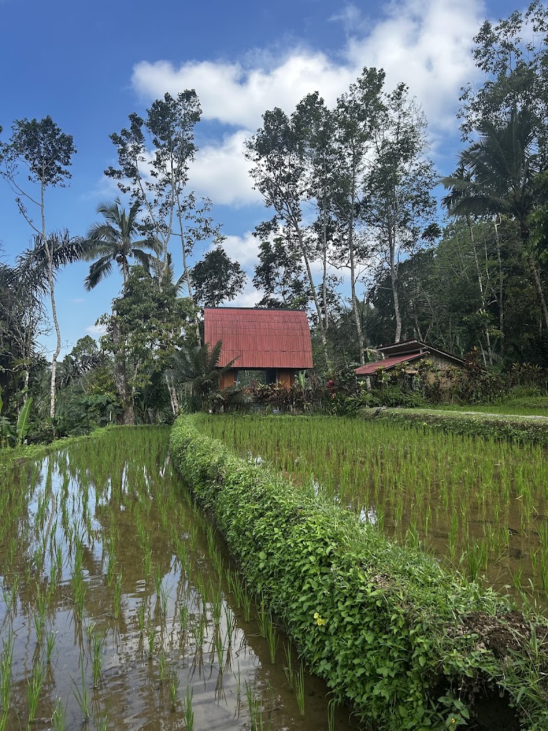 Pesona Bali Ecolodge