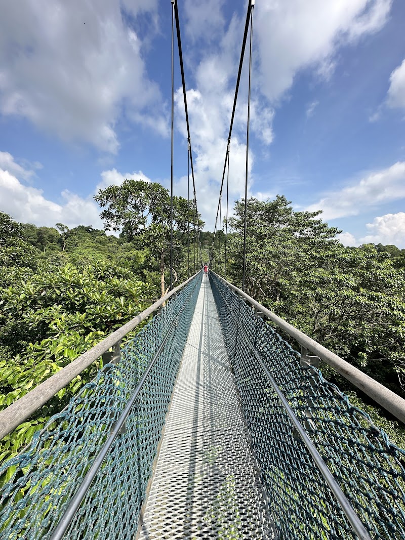 MacRitchie Reservoir Park