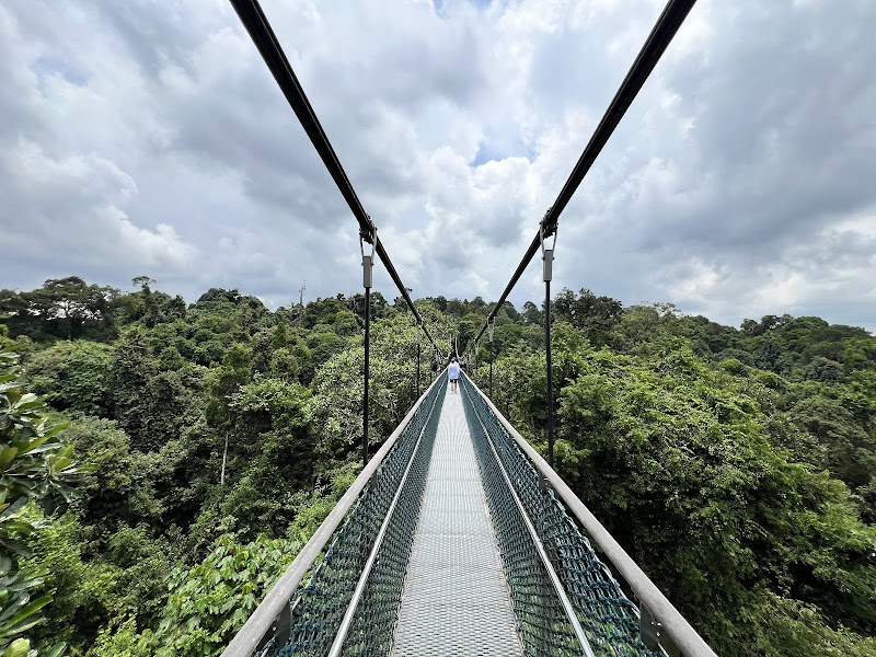 Macritchie Treetop Walk Trailhead