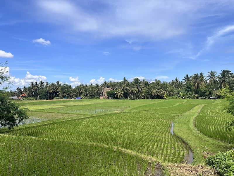 Sweet Orange Walk Trail