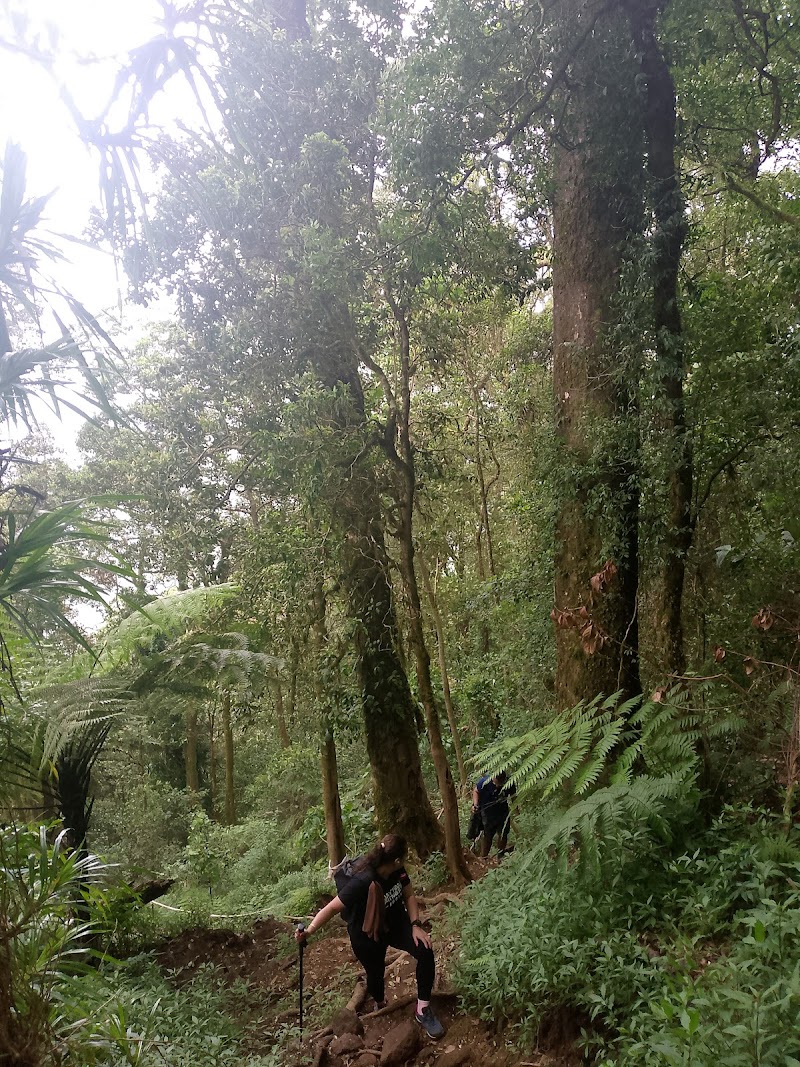 Munduk Jungle Trekking Adventure