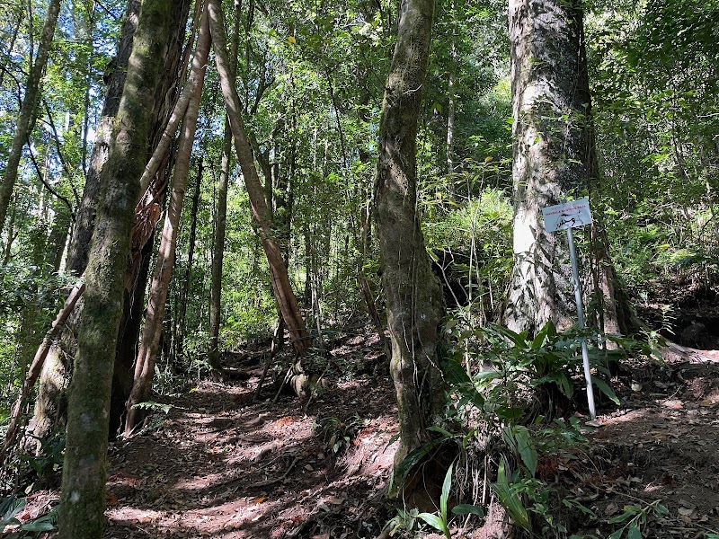 First rest stop on the Sanghyang Hiking Trail