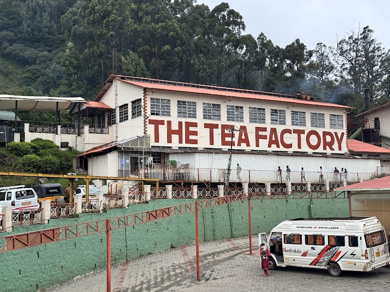 The Tea Factory & The Tea Museum