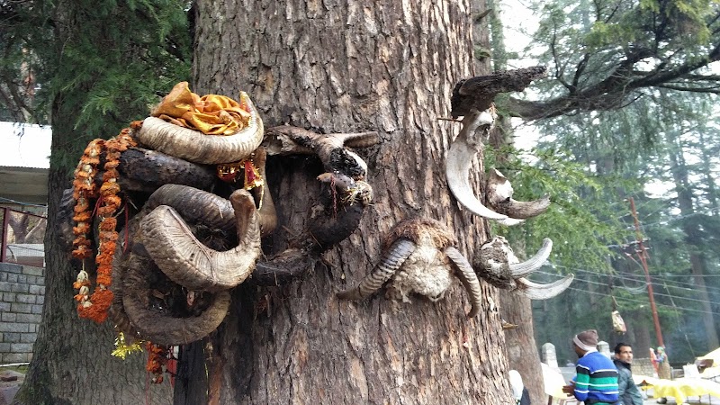 Ghatotkach Tree Temple