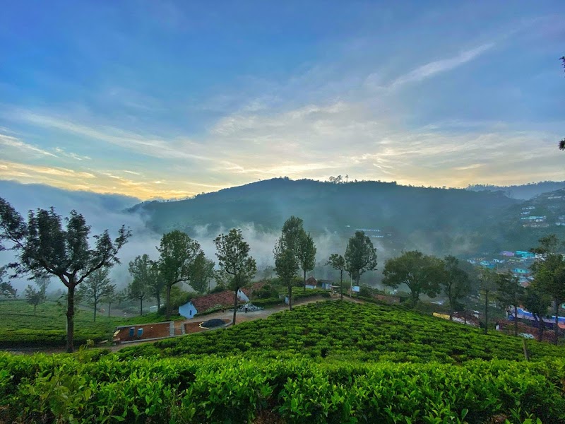 Ooty Tour Packages