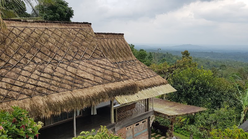 Batukaru Coffee Estate