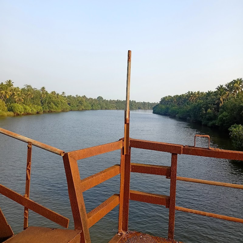 River view point xelvona