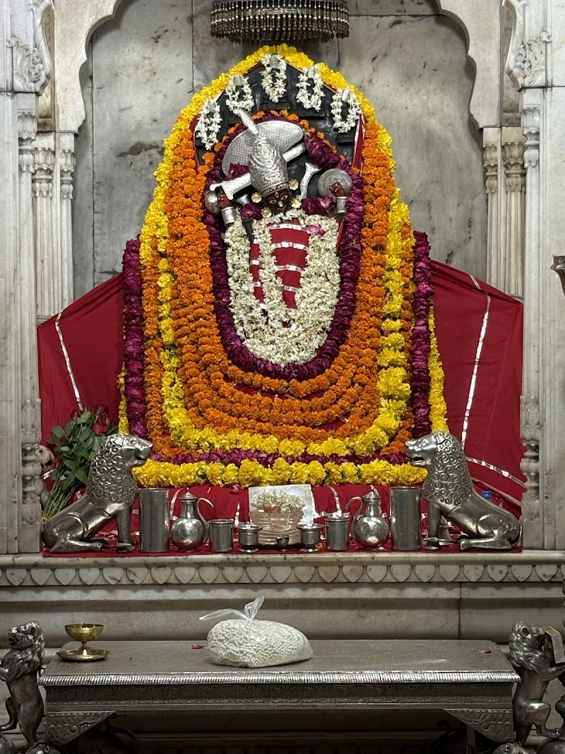 Shila Mata Mandir Amber Fort
