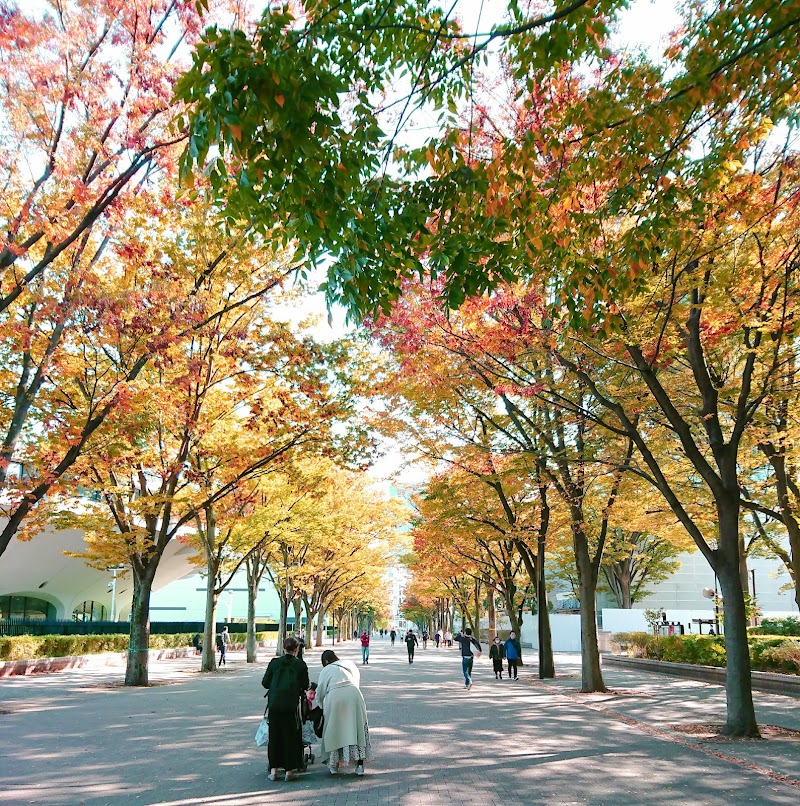 Yoyogi Park Keyaki Namiki Street