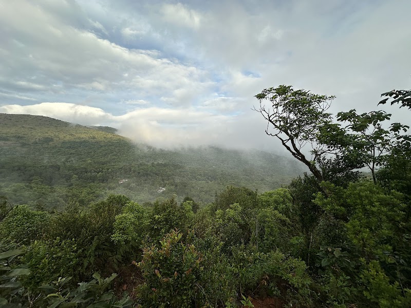 Brahmagiri Wildlife Sanctuary Karnataka