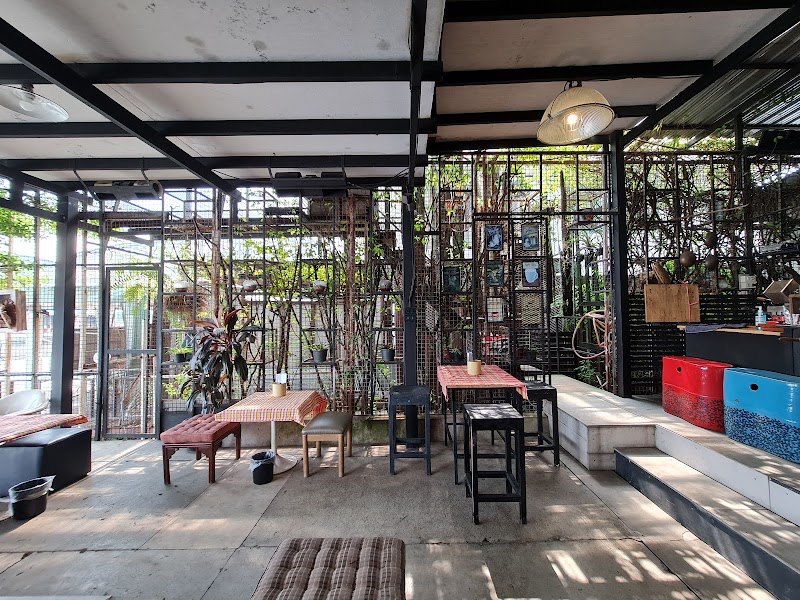 Coffee on Tree : คอฟฟี่ ออน ทรี