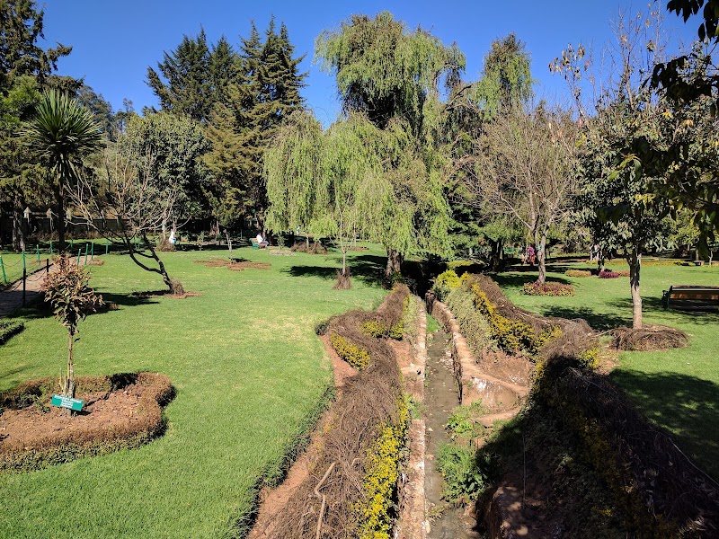 Arboretum Tree Garden