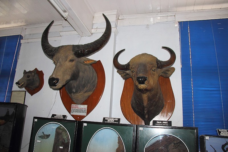 Bengal Natural History Museum