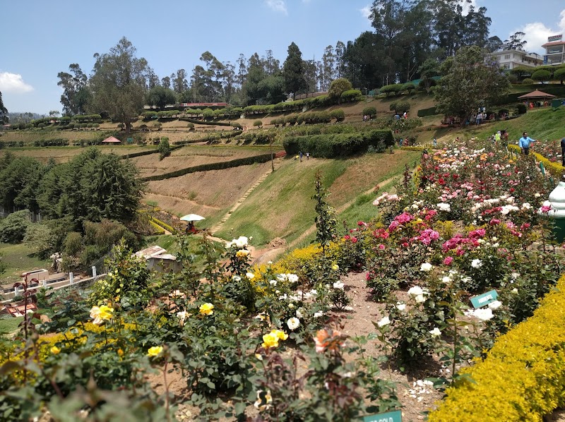 Government Rose Garden