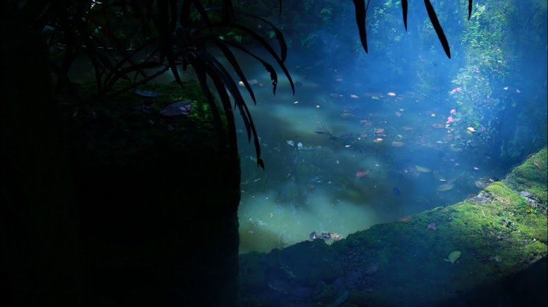 Abraham's Spice Garden