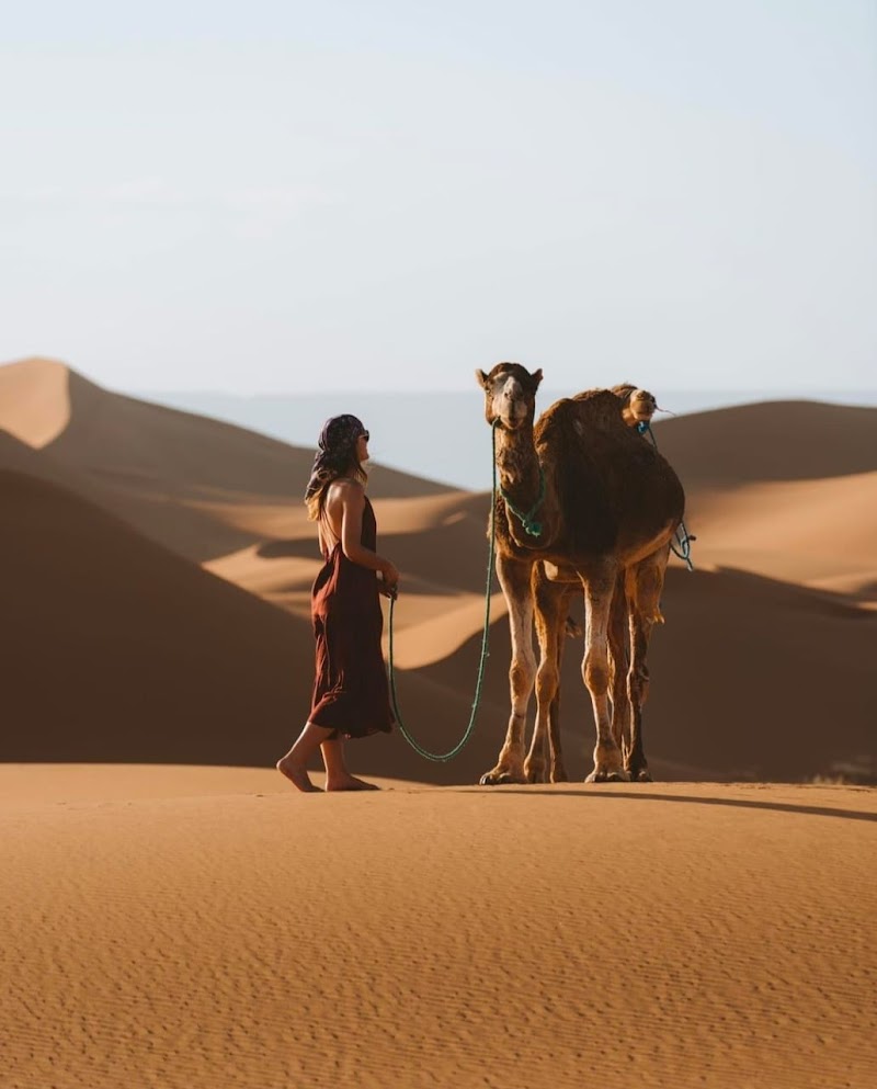 Jaisalmer sam desert safari