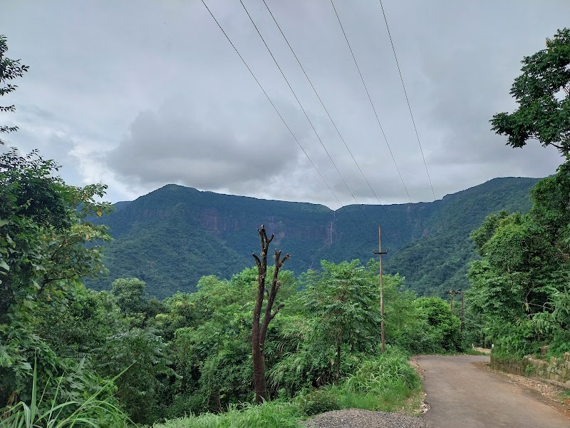 Living bridge parking