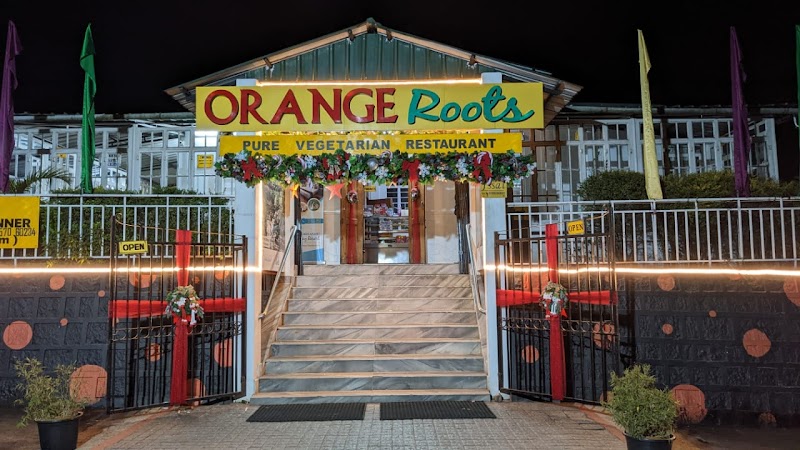 Orange Roots, Pure Veg Restaurant