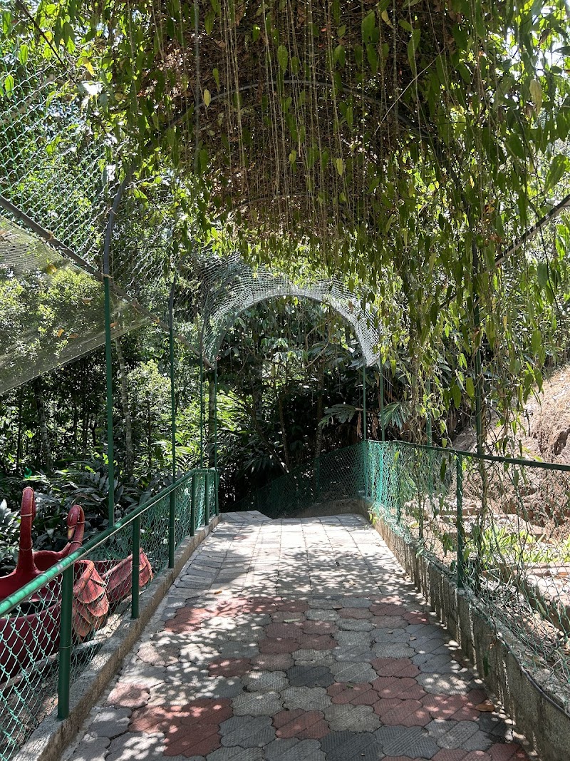 The Spice Route Ayurvedic & Spices Garden