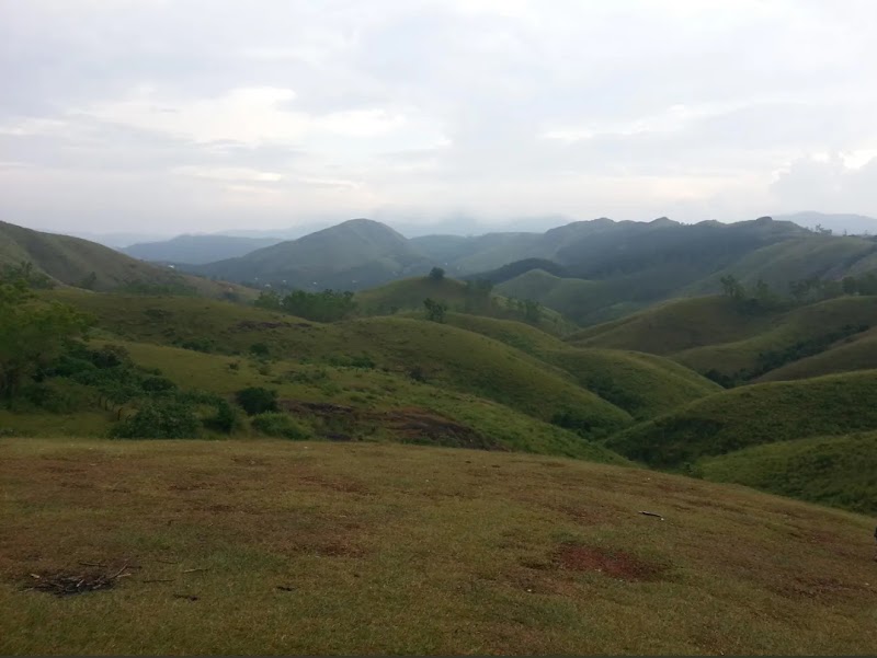 Vagamon Meadows