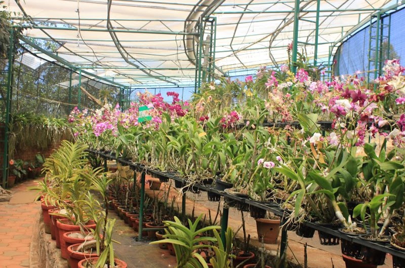 Vagamon Hill Gardern