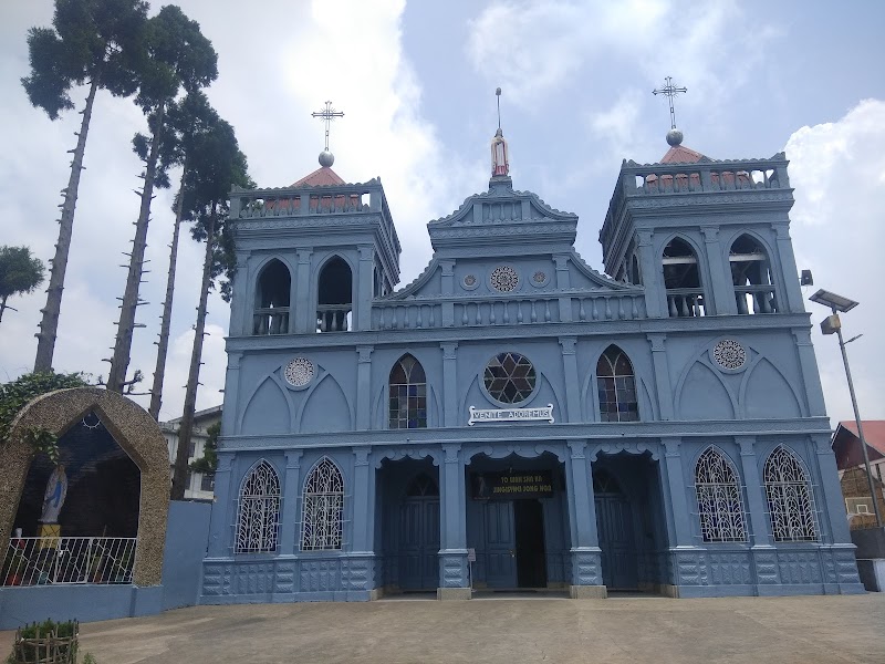St. Theresa of Lisieux's Cathedral