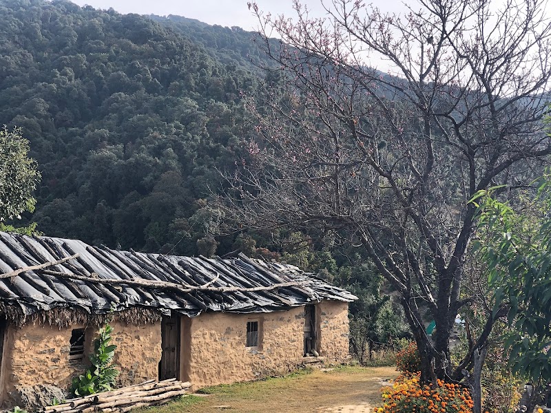 Kedarkantha Trek - Trekking in sankri