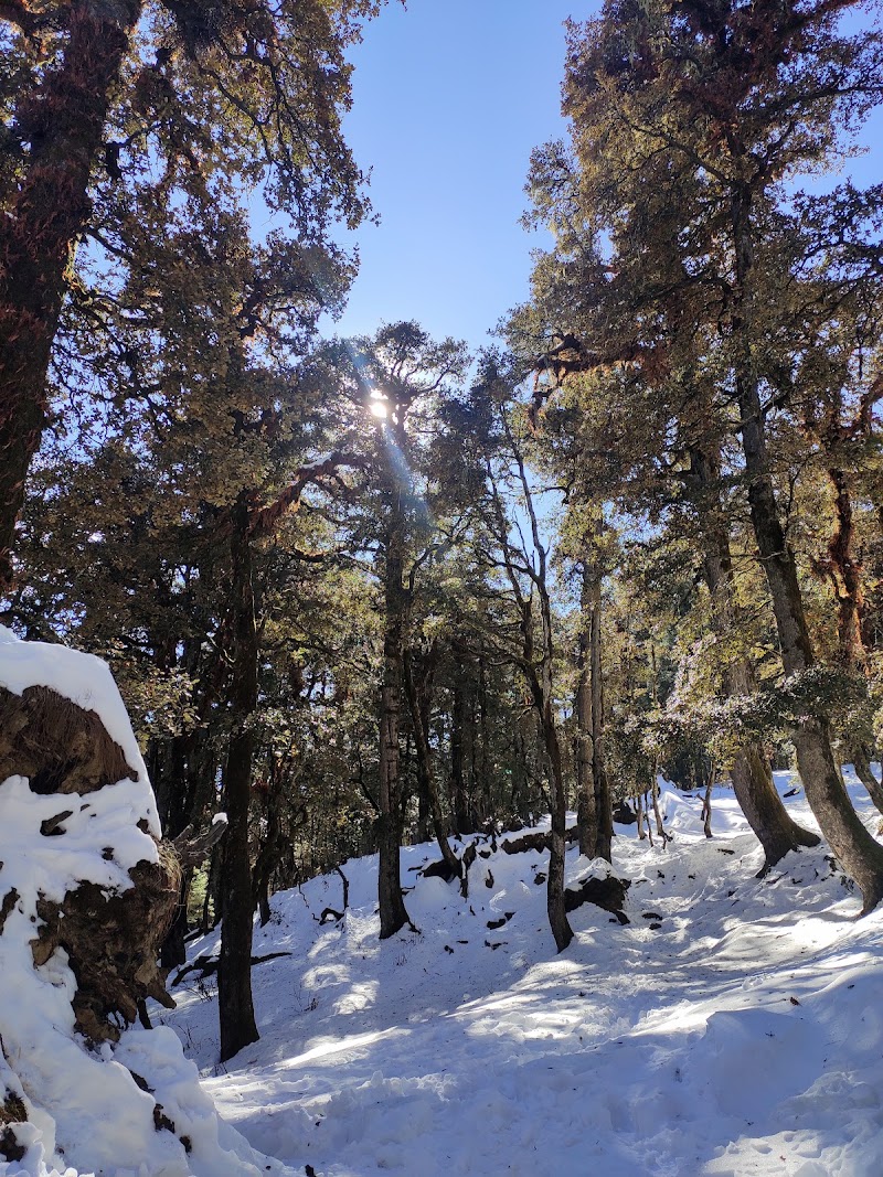 Auli Trekking Route Point 4