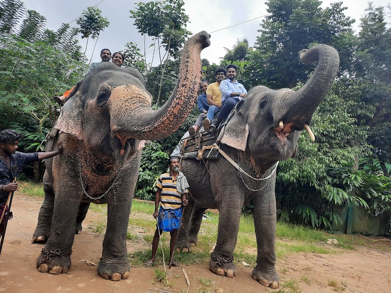 Elephant ride, Spice Park And Jeep Safari
